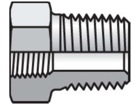 2 X 1 PTR-SS Pipe & Port Reducer, Expander, Conversion PTR